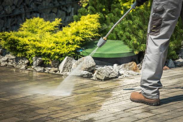 Best Playground Equipment Cleaning  in Hampton, SC