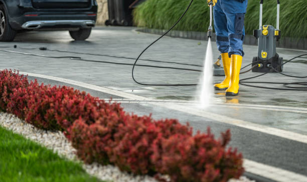 Best Roof Washing  in Hampton, SC